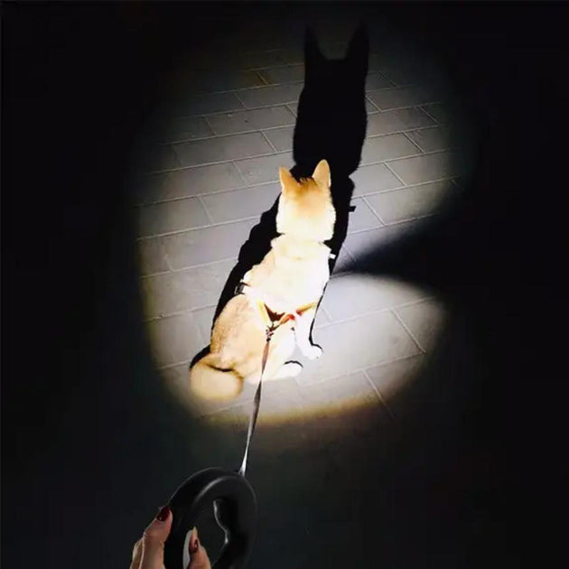 Correa Retractil para Mascota